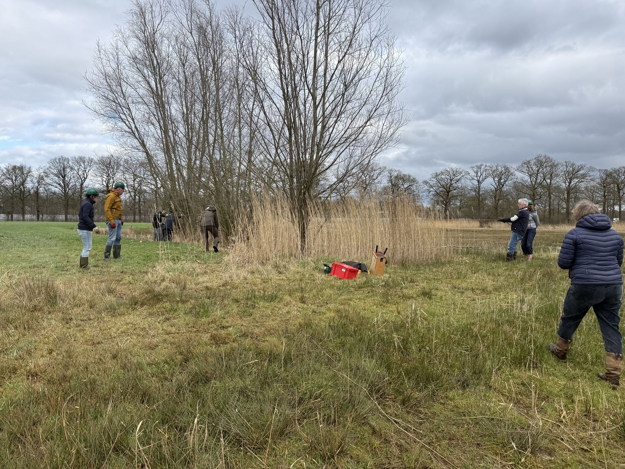 Rotaryclub Zwolle - onderhoud Landgoed Soeslo - Landschap Overijssel